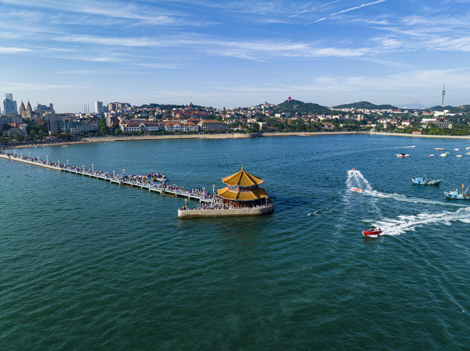 山东印象，讲述这片沃土的传奇故事🌿🌊